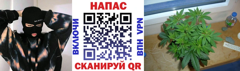 omg сайт  Саки  МАРИХУАНА марихуана 